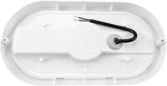 Braytron Стенна Външна Костенурка LED IP54 8W с Студено бяло Светлина 16x9x5.1εκ.