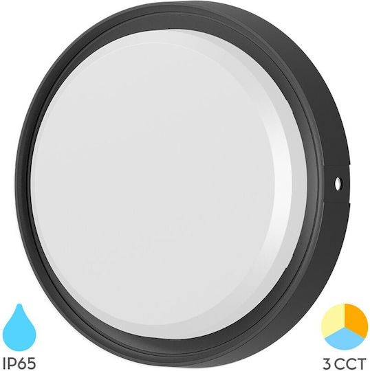Braytron Επιτοίχια Χελώνα Εξωτερική LED IP65 18W με Ρυθμιζόμενο Λευκό Φως