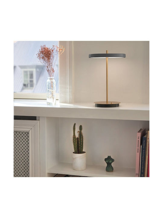Umage Dekorative Lampe Gray