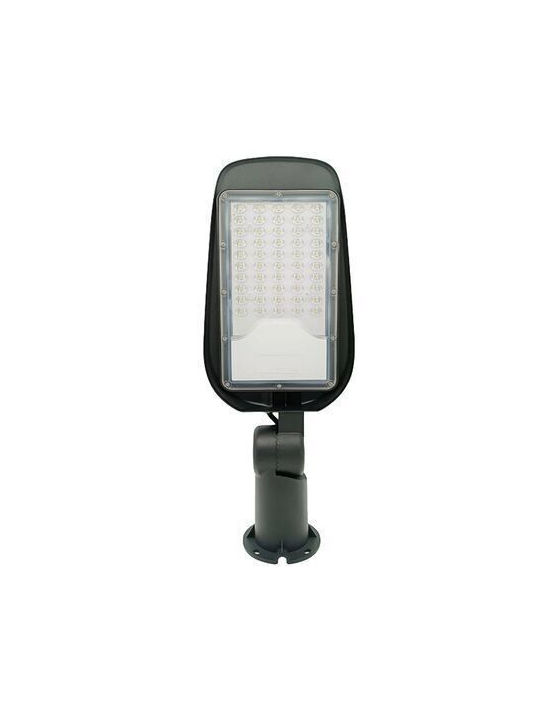 Adeleq Outdoor LED Road Lamp 30W With Natural White Light IP65 Gray