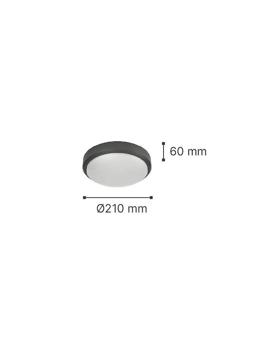 Inlight Echo Deckenleuchte für den Außenbereich mit integriertem LED in Schwarz Farbe 80300240