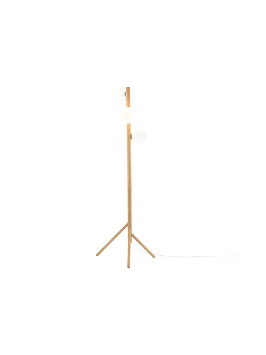 TK Lighting Estera Φωτιστικό Δαπέδου Υ151xΜ30εκ. με Ντουί για Λαμπτήρα G9 Γκρι