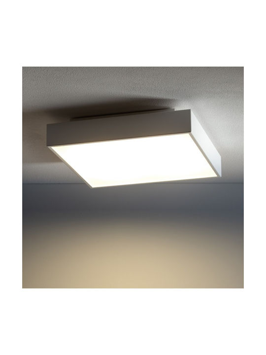 Nowodvorski Ceiling Mount Light White with Socket GX53