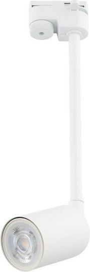 TK Lighting Einzel Spot mit Fassung GU10 in Schwarz Farbe