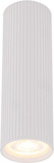 TK Lighting Единично Спот с Цокъл GU10 в Бял Цвят