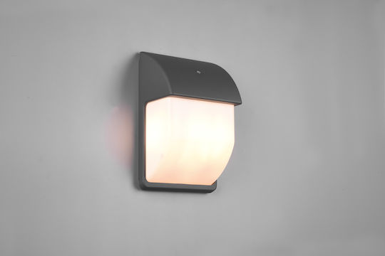 Trio Lighting Tunga Επιτοίχια Εξωτερική Πλαφονιέρα E14 IP44 18x27.5εκ.