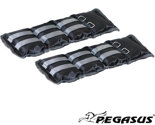 Pegasus Βαράκια Άκρων 2 x 1.5kg