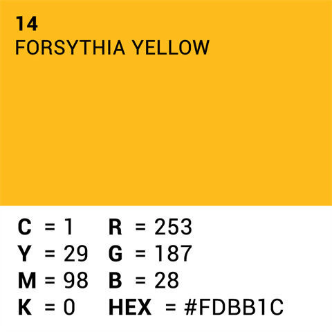 Hârtie Fundal Fotografic Superior 14 Forsythia Galben 2.72 X 11m