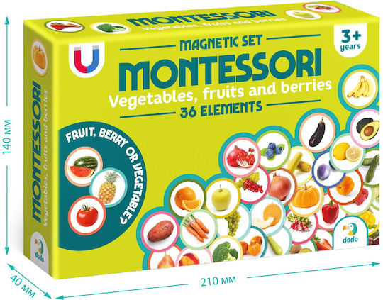Dodo Fruits And Vegetables Montessori Educational Game Knowledge for 3+ years Years Old