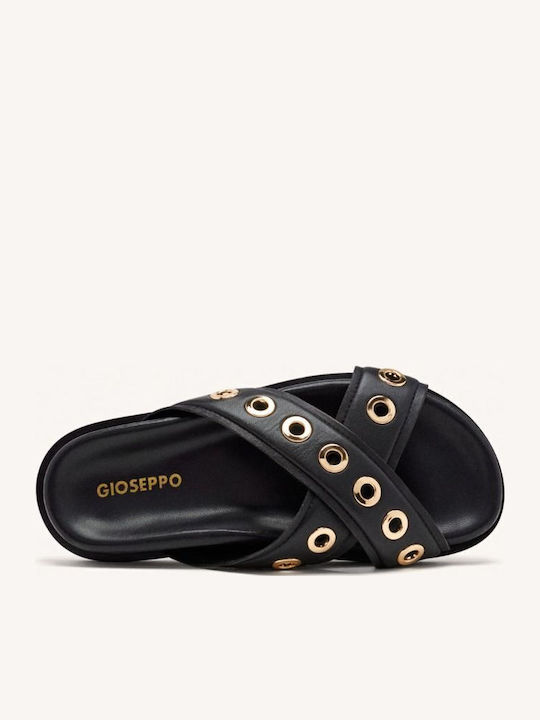 Gioseppo Gioseppo