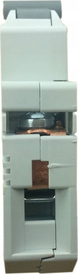 ETI 1-Pole Panel Push Switch
