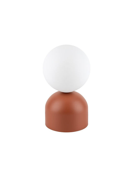 TK Lighting Διακοσμητικό Φωτιστικό G9 12x12x21εκ.