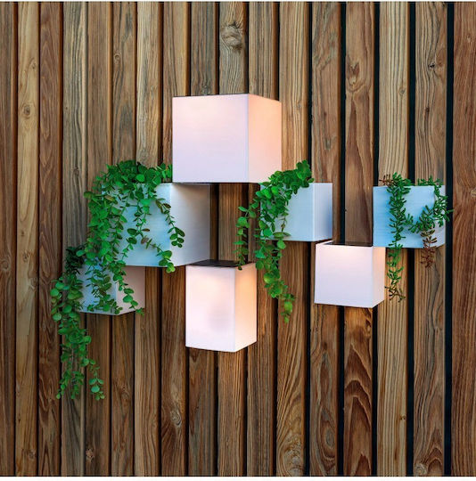 NewGarden Wall Mounted Solar Light with Natural White Light 4000K IP65 12cmx12cmx12cmcm