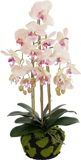 White Orchid Potted Plant GloboStar White Orchid Potted Plant GloboStar