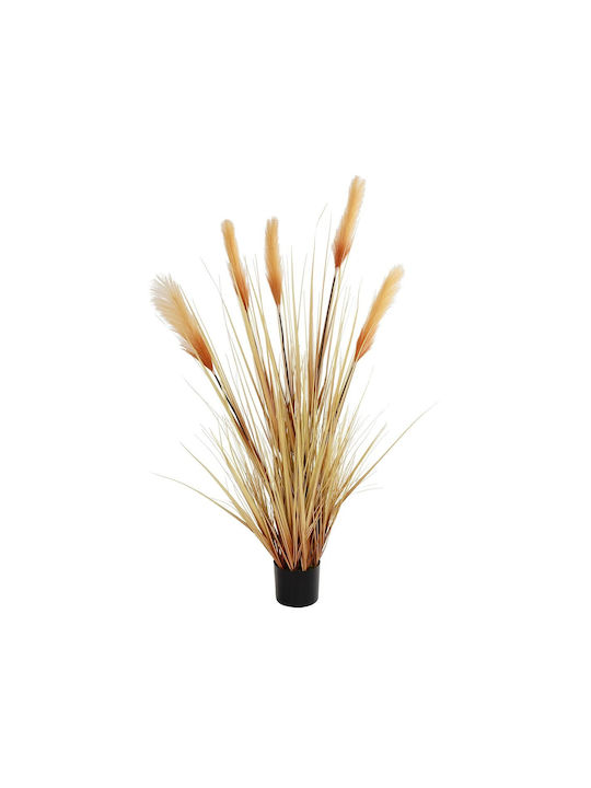 Pampas grass Εξωτερικού Χώρου Μπεζ σε Κουτί GloboStar