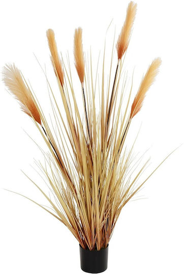GloboStar Artificial Pampas Grass Outdoor Beige in Box GloboStar Artificial Pampas Grass Outdoor Beige in Box