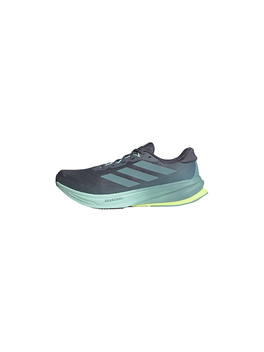Supernova Rise 2 Sport Shoes Running Gray