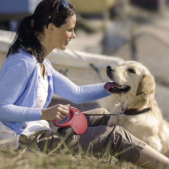 Flexi Foldable Dog Leash/Lead Strap Classic in Red color up to 50kg