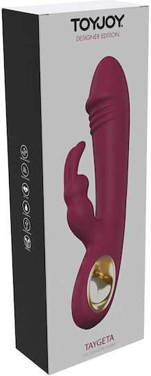 ToyJoy Pleasure Vibrator Rabbit 21cm Red