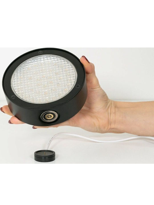 Zafferano Επιτοίχιο Εξωτερικό Φωτιστικό LED IP65 3.5W με Ρυθμιζόμενο Λευκό Φως
