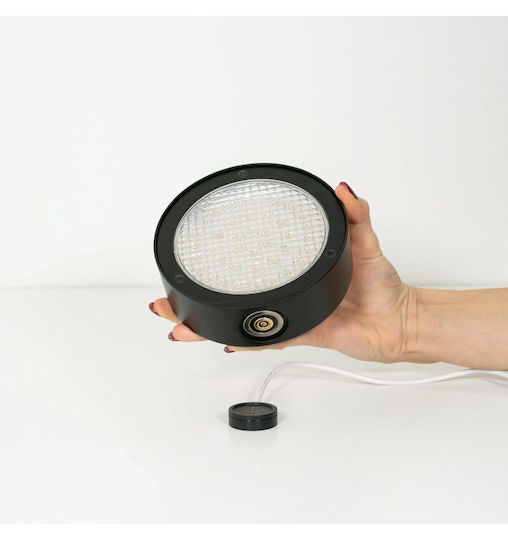 Zafferano Wall-Mounted Outdoor Lighting LED IP65 3.5W with Adjustable White Light