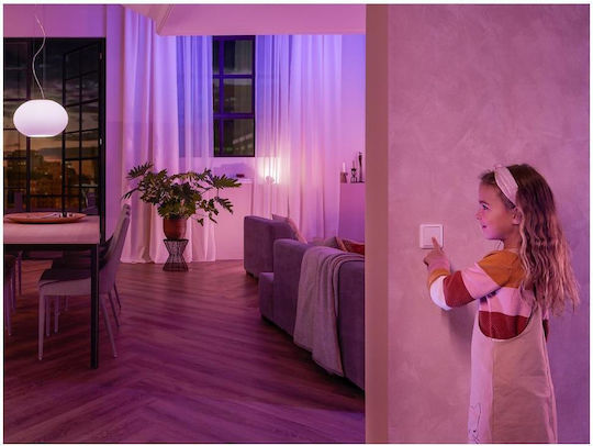 Philips Smart Switch ZigBee 10A