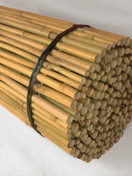 Lianos Bamboo Fencing with Whole Reed 1x3m