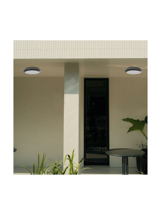 Inlight Deckenleuchte für den Außenbereich E27 in Gray Farbe 80300844