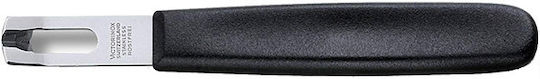 Victorinox Kitchen Tool Decorator
