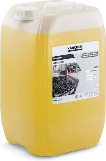 Karcher RM81 Active Pressure Washer Cleaner