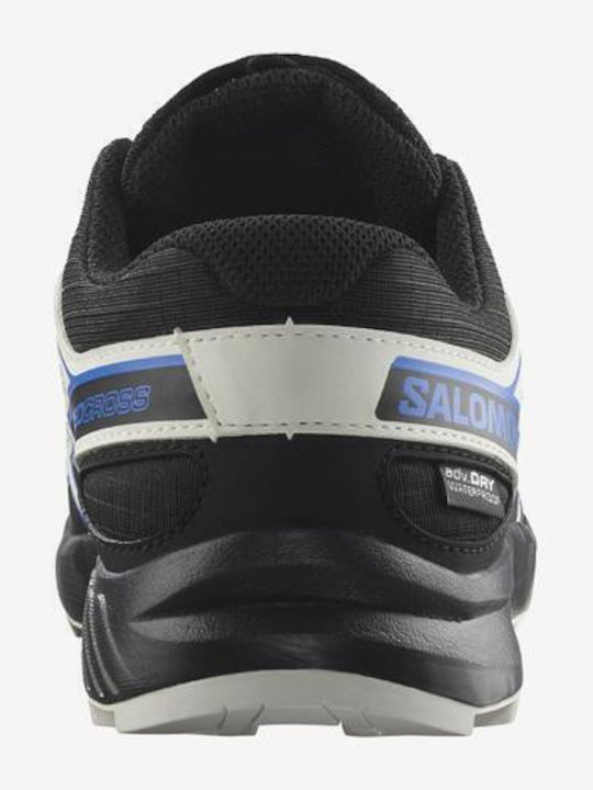 Salomon