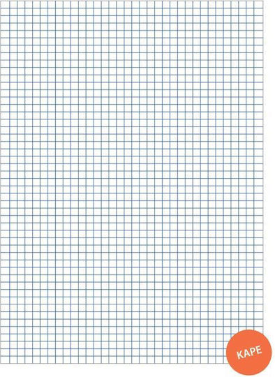 Salko Paper Μπλοκ Σημειώσεων Α4 50 Φύλλων Καρέ