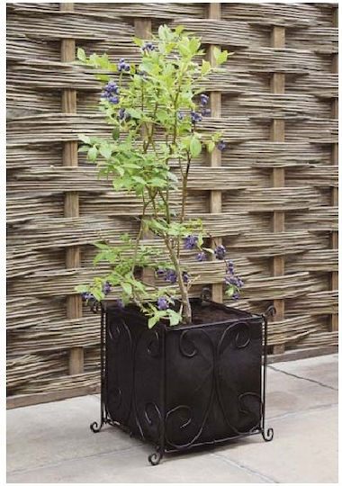 Vigoroot Planting Bag H 34cm W 35cm D 30cm