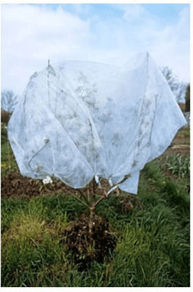 Frostschutzdeckel Agro Textilien 3,20m Verstärkt 18gr/m²