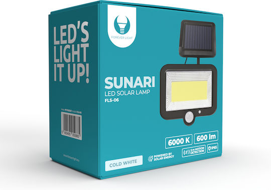 Forever Light Waterproof Solar LED Flood Light 8W Cold White 6000K with Motion Sensor IP65