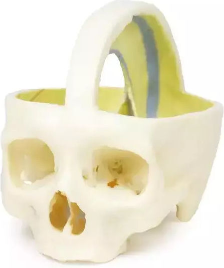 3D Schädel Harte Meningen Erler Zimmer