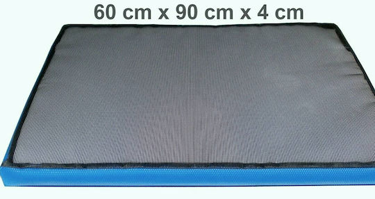 Covoraș De Curățare Și Dezinfectare Pentru Încălțăminte 60x90cm Înălțime 4cm