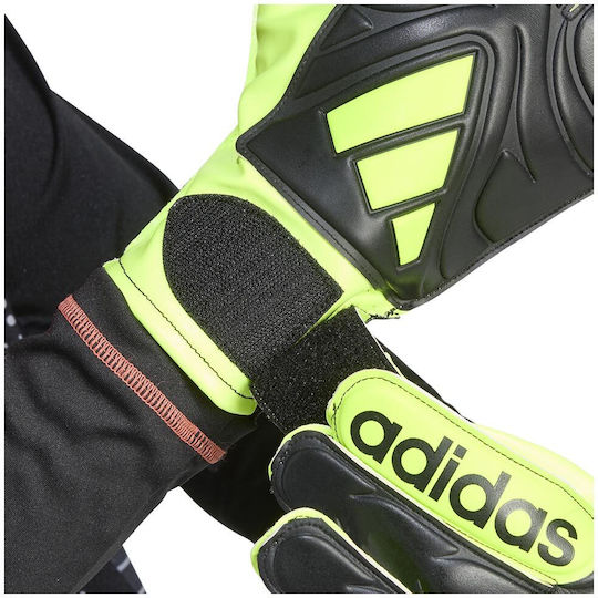 adidas Copa Голмански ръкавици за Възрастни Черен