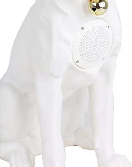 Boxă Bluetooth 10W cu Radio Alb DQRQKM3BM