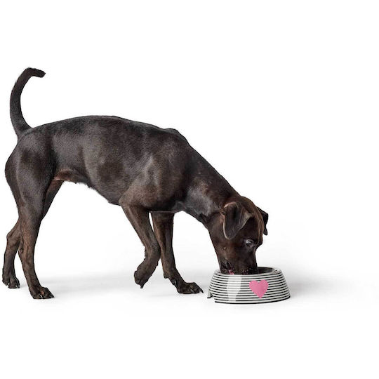 Hunter Stainless Steel Bowl Food for Dog 700ml Multicolour
