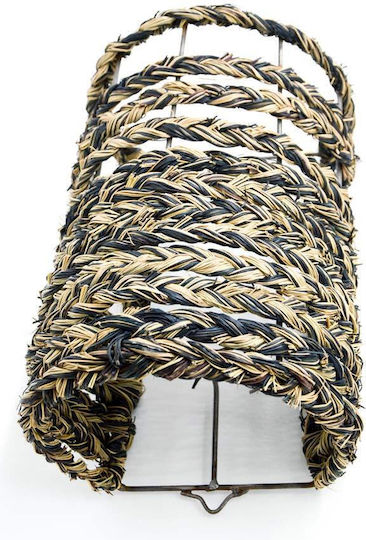 Lamp Wall Black 21x30cm