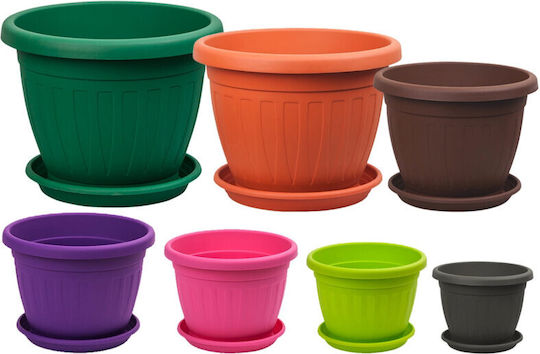 Viosarp Mediteran Ghiveci Plastic