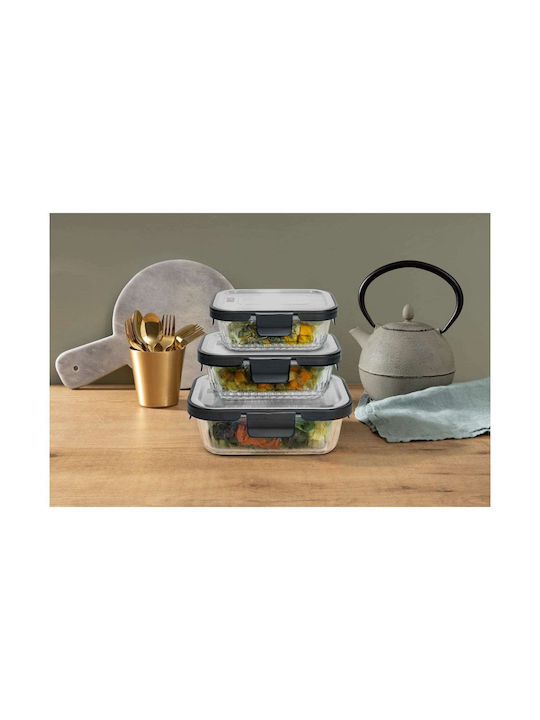 Iris Barcelona Lunchbox Glas 370ml 1Stück