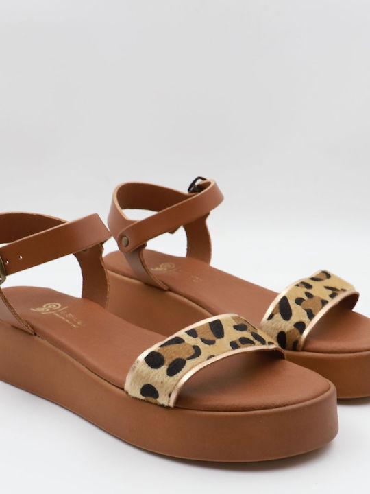 Gshoes