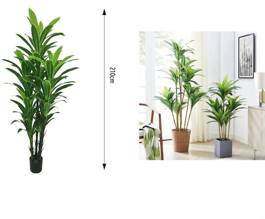Künstlicher Baum für den Außenbereich Dracaena Grün 210cm My Home Luxury