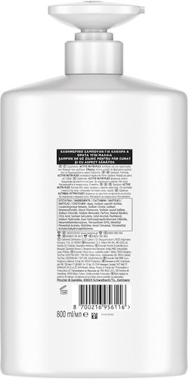 Pantene Classic Shampoos für Normal Haare 800ml