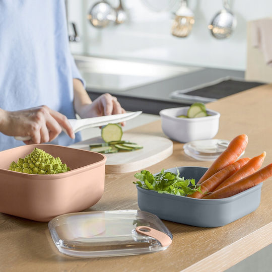 Rotho Babydesign Lunchbox Kunststoff Blau Geeignet für die Mikrowelle 750ml 1Stück