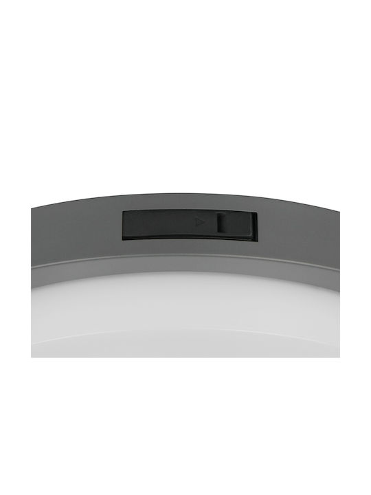Trio Lighting Bermejo Таванно осветление Сив