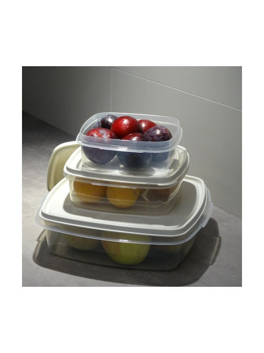 Viomes Microwave Plastic Lunch Box Burgundy 20x20cm