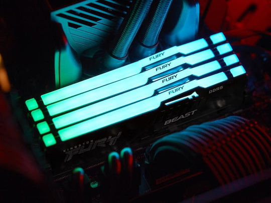 Kingston Fury Beast RGB DDR5 with Module 1x16GB and Speed 5600 for Desktop